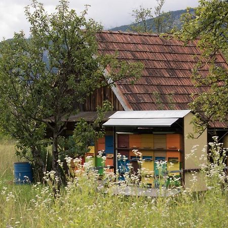 Апартаменти Apartma Petra Ravnik - Wanderer'S Hut Бохінь Екстер'єр фото